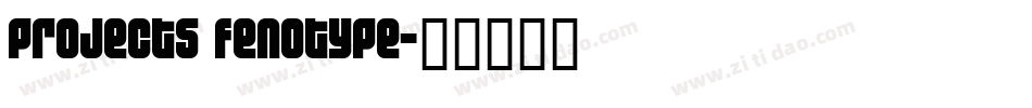 projects fenotype字体转换